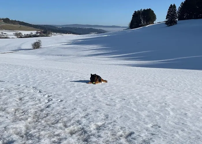 Greenholidays