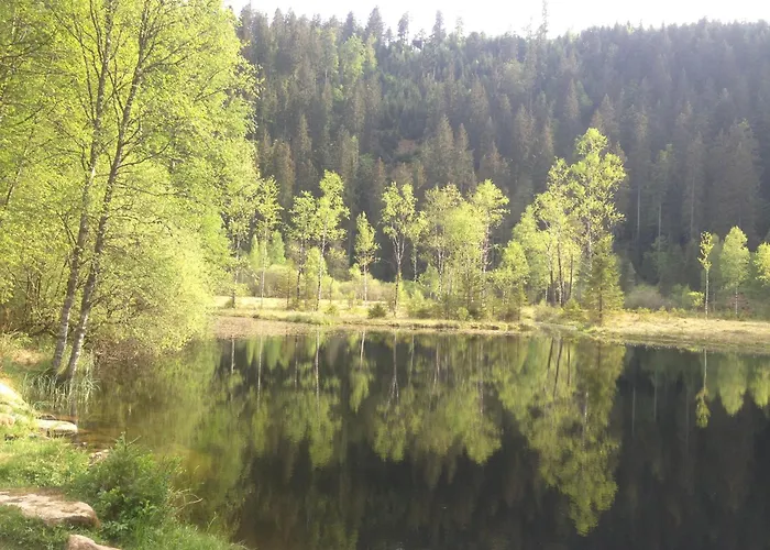 Bergstern